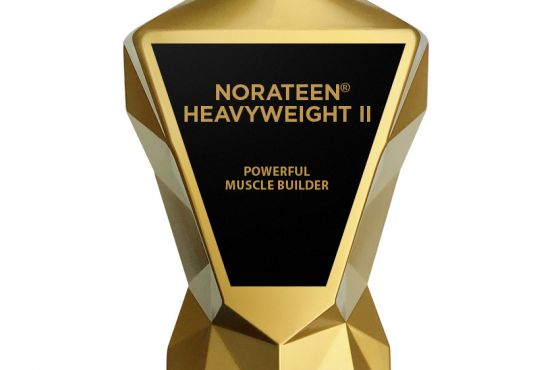 Norateen Heavyweight II Review Norateen Heavyweight II Review